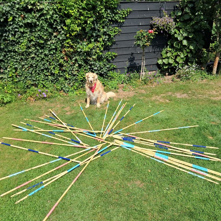 Mega Mikado, dat wil je beleven zonder te beven.